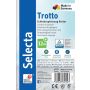 Trotto